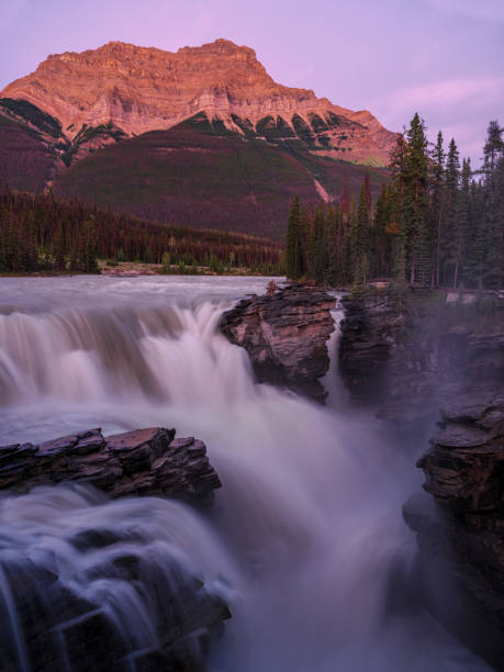 coucher de soleil rose athabasca falls - canada alberta mountain mountain range photos et images de collection