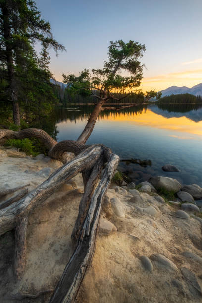 istock Sunrise, Lac Beauvert, Jasper National Park. 1337165533
