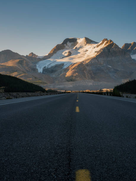 vue horizontale du glacier athabasca au lever du soleil. - canada alberta mountain mountain range photos et images de collection