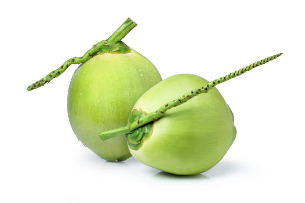 istock Fresh green coconut fruit isolated on white 1337167220