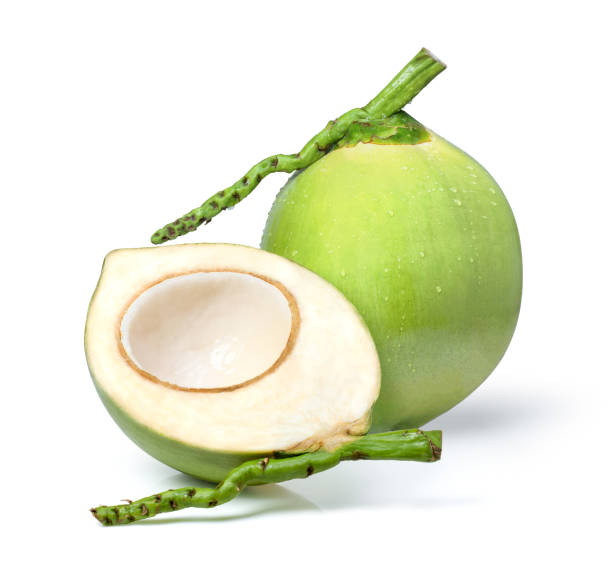 noix de coco verte isolée sur blanc - cocotier photos et images de collection