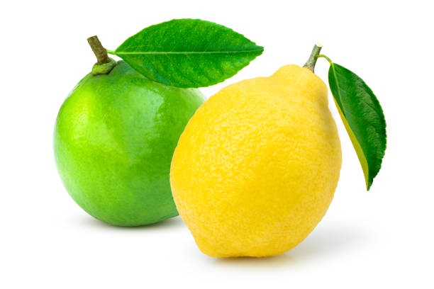 istock lime and lemon isolated on white background. 1337167261