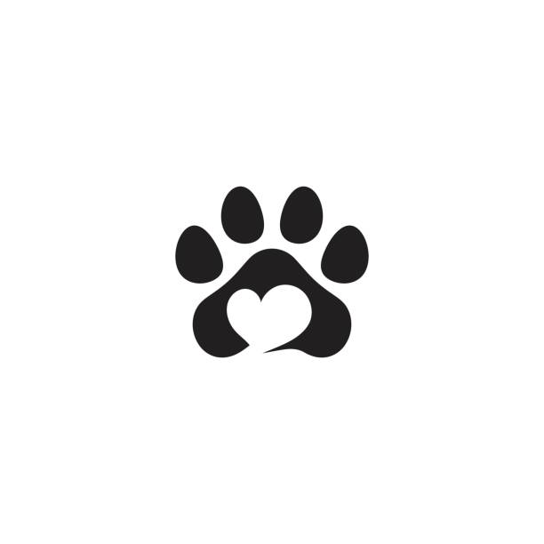 Paw Logo design vector illustration Paw Logo design vector illustration design template happy dog stock illustrations