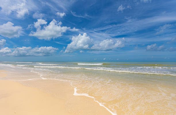 Beach Naples Florida Beach Naples Florida naples beach stock pictures, royalty-free photos & images