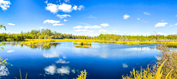 istock Alaska Lake in Summer With Cloud Reflection 1337171801