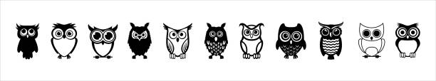 illustrazioni stock, clip art, cartoni animati e icone di tendenza di set vettoriale di cartoni animati gufo. illustrazione di design della mascotte carina di owlet. - gufo