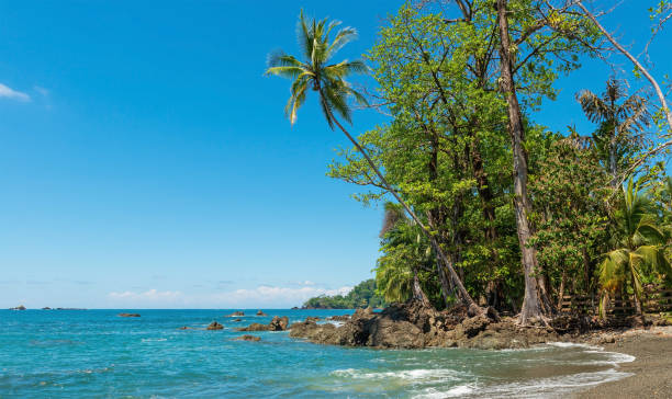 istock Beach in Corcovado national park, Costa Rica 1337171966