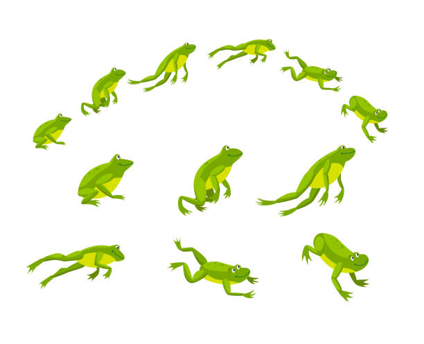 Rana Saltando Vectores Libres de Derechos - iStock Rana Saltando Vectores Libres de Derechos - iStock