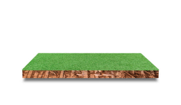 istock Soil cubic cross section with green grass field isolated on white background. 1337174955