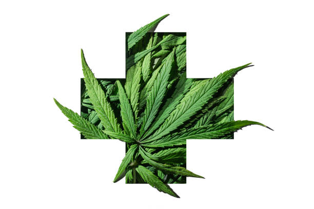 hojas verdes de cannabis en marco de emblema de signo más médico sobre fondo blanco. - porro fotografías e imágenes de stock
