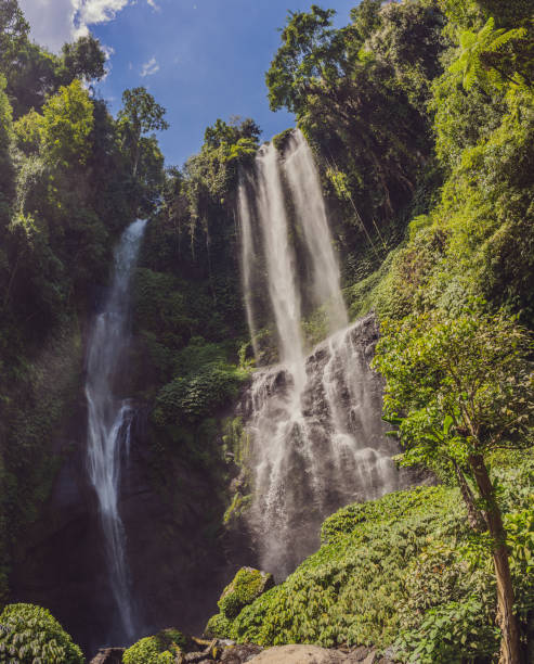istock Beautiful tropical Sekumpul Waterfall in Bali, Indonesia 1337176849