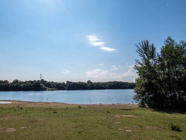 istock View to trees and blue sky in park 1337177655