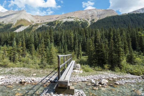 istock Wooden Hiker and Equestrian Bridge with Railing over Johnston Creek 1337178904
