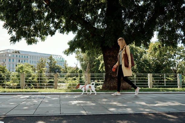 istock Woman walks with dog 1337179360