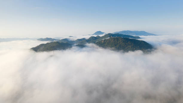 istock Aerial view Fog in forest. 1337180224