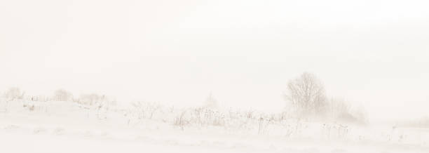 istock Landscape with trees in winter, during snowfall 1337182462