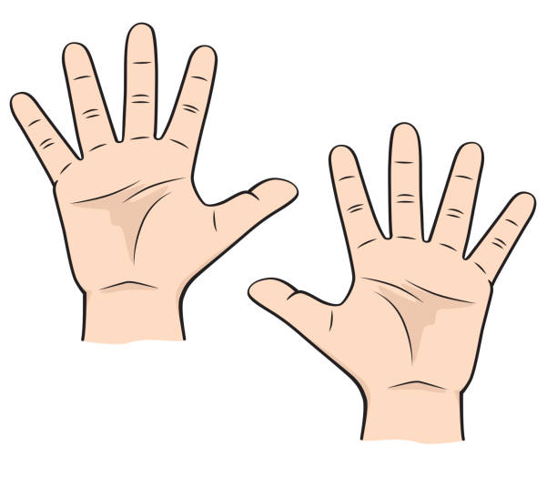 Fingers for teaching early counting in children education Stock Illustration
hands - body parts number 5 Fingers for teaching early counting in children education Stock Illustration
hands - body parts number 5 right handed stock illustrations