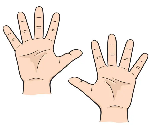 Vector illustration of Fingers for teaching early counting in children education Stock Illustration
hands - body parts number 5