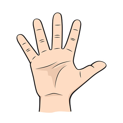 Fingers for teaching early counting in children education Stock Illustration
hands - body parts number 5