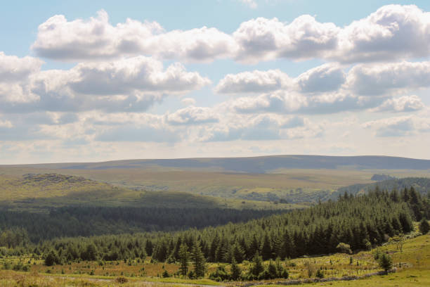 dartmoor national park in england. uk august 2021. - dartmoor imagens e fotografias de stock