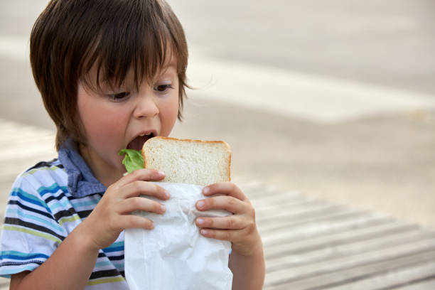 Schoolchildren, preschooler, boy eating his lunch, snack, breakfast in the school yard. Food for children in educational institutions, kindergartens. Healthy eating Schoolchildren, preschooler, boy eating his lunch, snack, breakfast in the school yard. Food for children in educational institutions, kindergartens. Healthy eating. food elementary student healthy eating schoolboy stock pictures, royalty-free photos & images