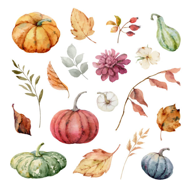 ilustrações de stock, clip art, desenhos animados e ícones de thanksgiving vector set colorful pumpkins with autumn leaves and flowers. watercolor card for thanks giving day isolated on a white background. - thanksgiving autumn pumpkin backgrounds
