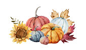 istock A watercolor vector card for Thanksgiving and Halloween, a greeting arrangement with colorful pumpkins and sunflower, autumn branches and leaves isolated on white 
background. 1337190340
