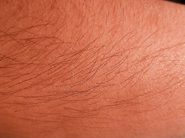 istock Human hand skin with bristles. 1337190378