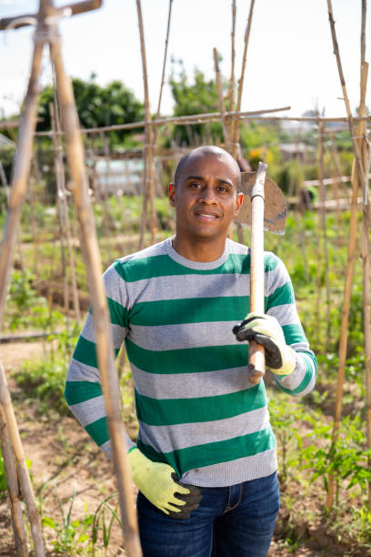 istock Worker cultivates garden beds with hoe 1337190460