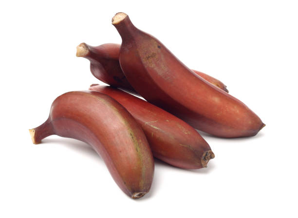 ripe tropical tasty red bananas on white background
