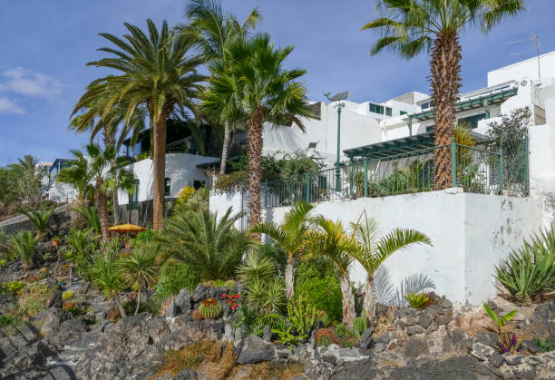 istock Puerto del Carmen at Lanzarote 1337195392
