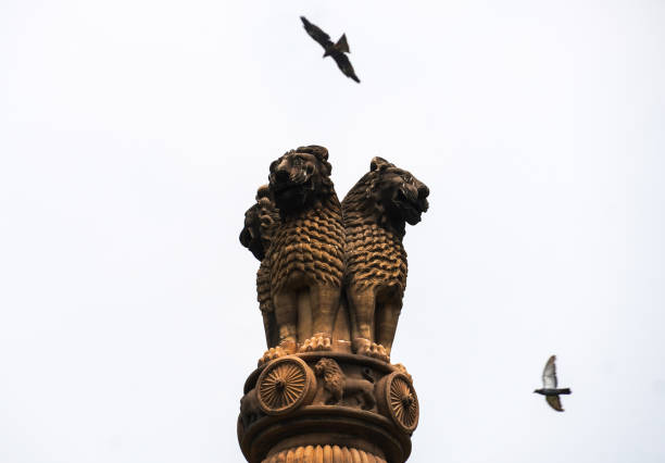 istock Ashoka Pillar image in sky with birds are flying 1337201687