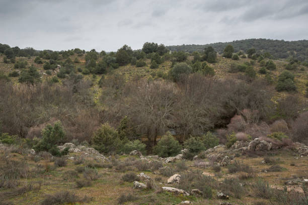 istock Views of the Manzanares River 1337204080