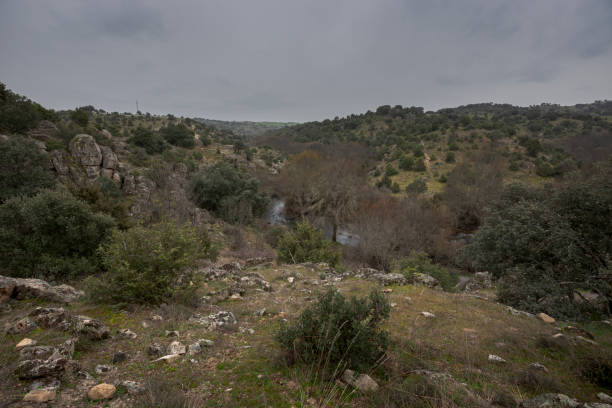 istock Views of the Manzanares River 1337204082