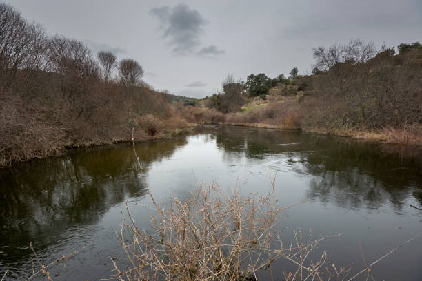 istock Views of the Manzanares River 1337204201