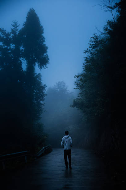 istock Lonely man is walking on fog road 1337204213