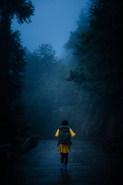 istock Women walking alone on a foggy road 1337204231