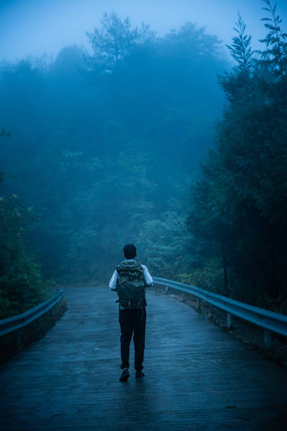 istock Man walking alone on a foggy forest road 1337204239