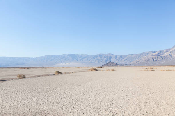 istock dune landscape with mountain in background in Death Valley 1337205318