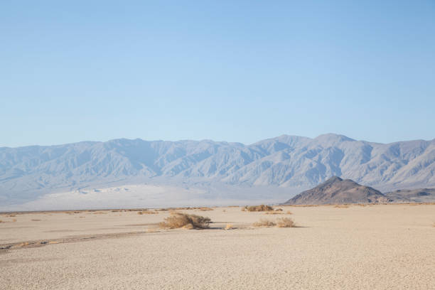 istock dune landscape with some background vegetation in Death Valley 1337205345