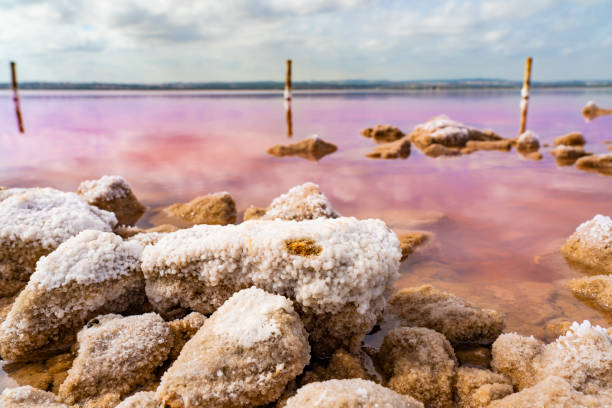 Salty rocks at the Torrevieja Pink Lake at Natural Park de Las Lagunas de La Mata e Torrevieja, Alicante Spain stock photo