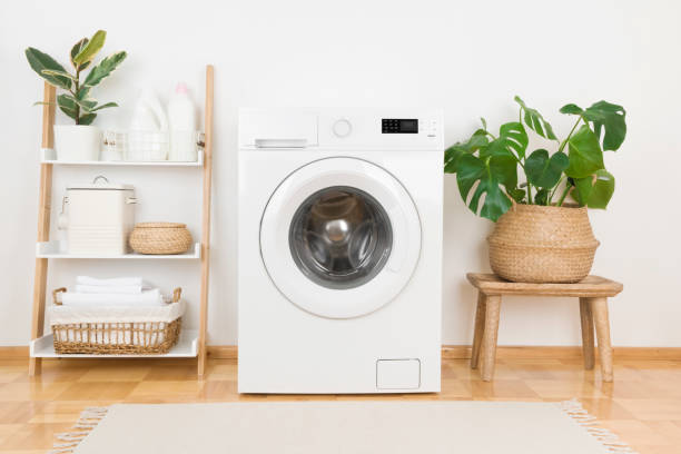 istock Modern washing machine and plants in rustic laundry room interior 1337205613