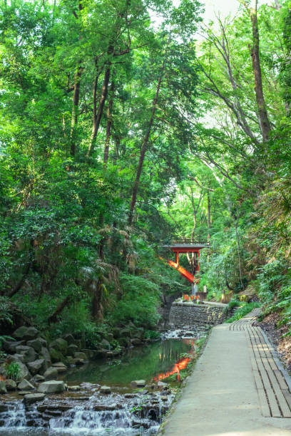 istock Todoroki Valley in Setagaya, Tokyo 1337206450
