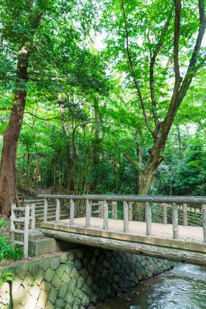 istock Todoroki Valley in Setagaya, Tokyo 1337206461