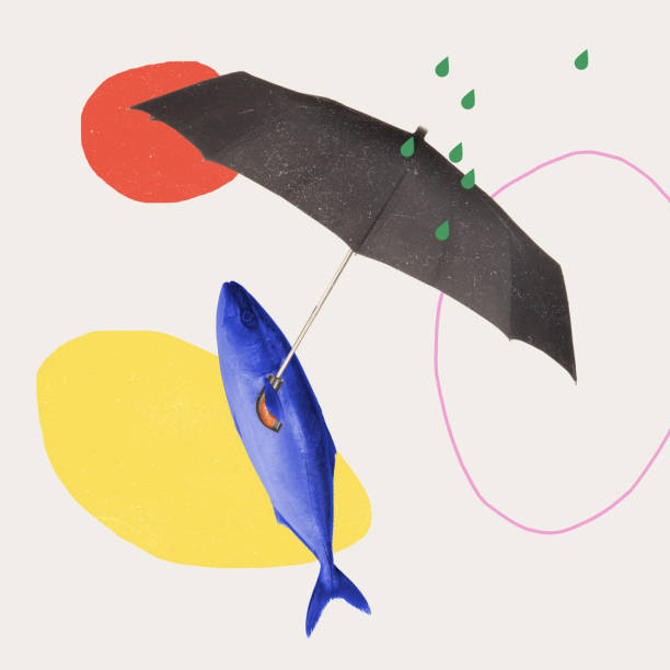 herbst regen zeitgenössische kunst. fische mit regenschirm am regnerischen herbsttag - regen grafiken stock-fotos und bilder