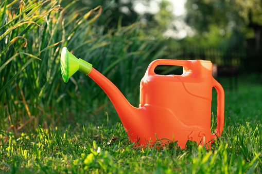 Orange plastic watering can stands on the green grass in the summer garden