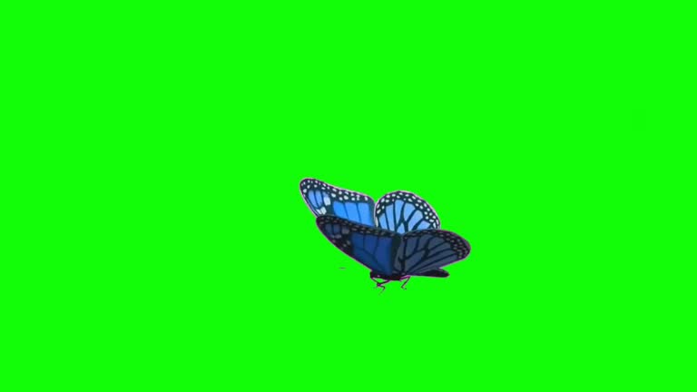 2,090 Butterfly Animation Stock Videos and Royalty-Free Footage - iStock 2,090 Butterfly Animation Stock Videos and Royalty-Free Footage - iStock