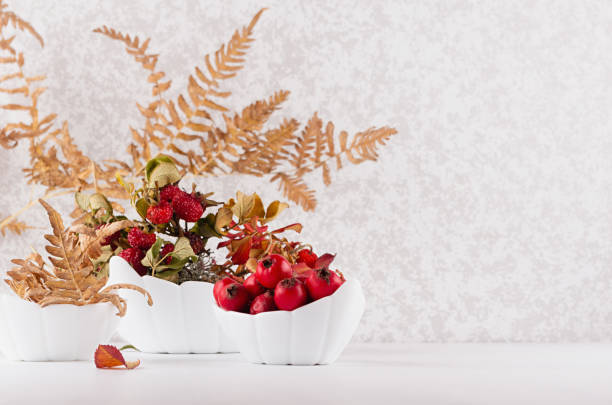 乾燥した赤い葉が白い木製のテーブルの上にボウルでヒザシ、シダと熟したベリーサンザシ、コピースペースで乾燥した赤い葉とインテリアのための明るい秋の装飾。 - hawthorn berry fruit plant autumn ストックフォトと画像