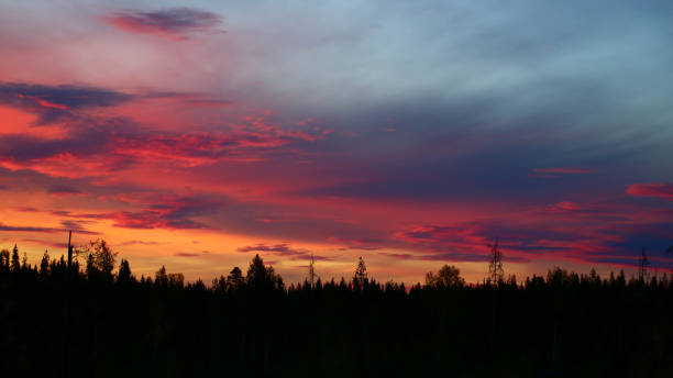 istock Colorful sunset clouds in front of forest silhouette 1337213601
