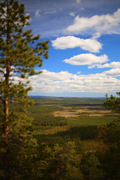 istock View from Mount Vithatten in Swedish Lapland 1337213602